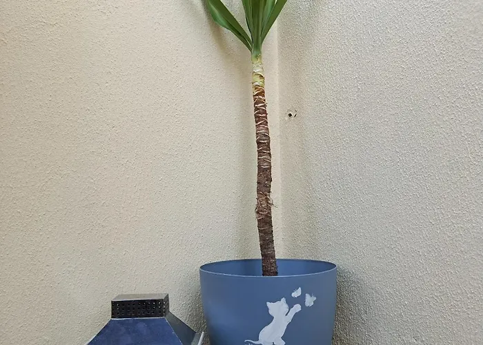 Catmandu Oldstation * Amarante